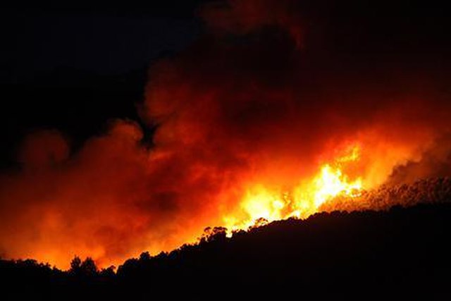commons.wikimedia.org featured image Wildfire
