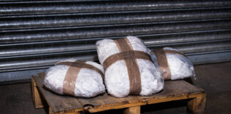 Massive Drug Bust Shakes Cartel Networks Near US-Mexico Border