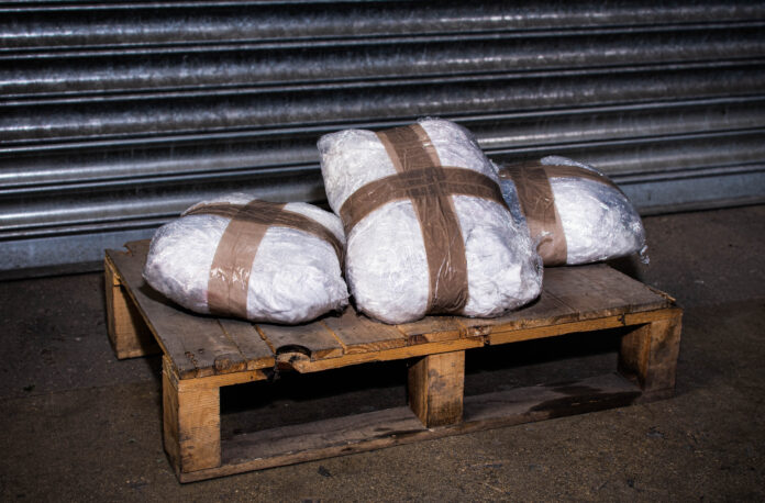 1712809042 featured image Massive Drug Bust Shakes Cartel Networks Near US-Mexico Border